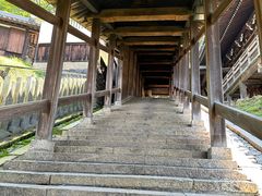 -奈良公园