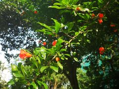 -太平桥南小区南区