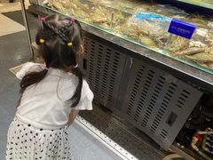 水产区-盒马鲜生(新都心店)