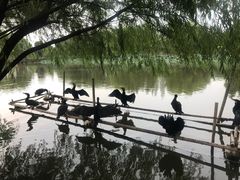 -长兴太湖图影湿地文化园