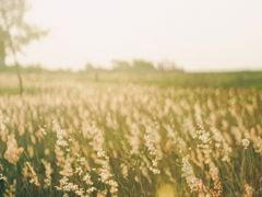 -白沙门生态公园