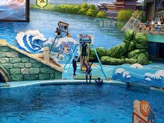 -海合安成都极地海洋公园