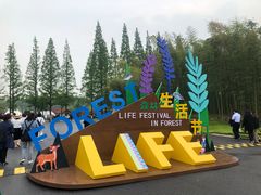 -黄海国家森林公园