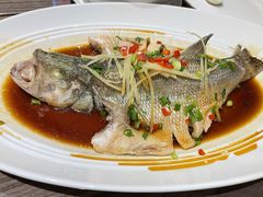 清蒸鲈鱼-眉州东坡(团结湖店)