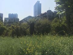 -晓港公园