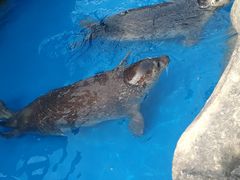 -华夏文旅海洋公园