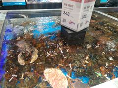 -盒马鲜生(龙德广场店)