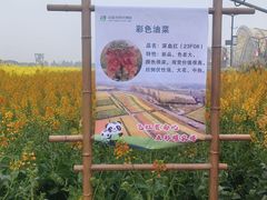 -中国天府农业博览园