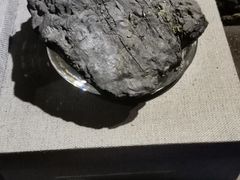 -抚顺煤矿博物馆