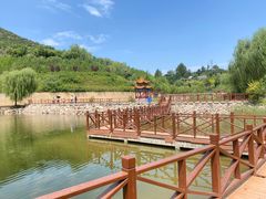 -五龙城郊森林公园