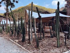 -MOJ coffee(瓯海泽雅水碓坑店)