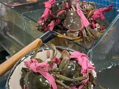 -辣螃铠盆盆蟹大排档(总店)