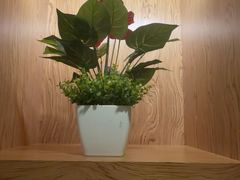 -淳SPA·精油按摩(蓝海御华大饭店)