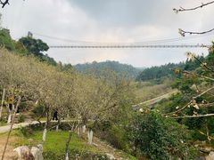 -广东天露山旅游度假区