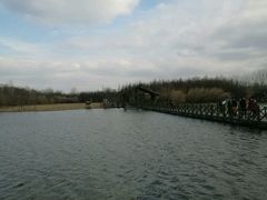 -溱湖国家湿地公园