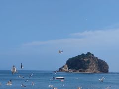 -棒棰岛宾馆景区