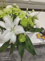 -HEYAN长风荷妍专业脱毛美肤
