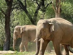 -北京野生动物园