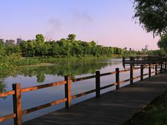 -艾溪湖湿地公园