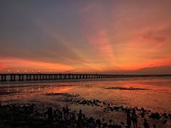 -宝安西湾红树林湿地公园