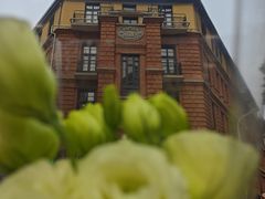 -循礼门鲜花花市(武汉循礼门店)