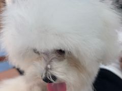 -博特宠物医院24h犬猫全科.骨科·异宠