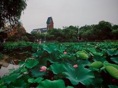 -美兰湖景区