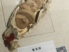 -巴音郭楞蒙古自治州博物馆