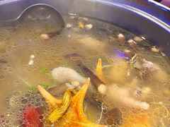 鲜人参锅底-千岛蚝高压锅生蚝·人参火锅(白云万达店)