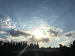 -虹桥迎宾馆·宴会厅