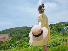 -枸杞岛