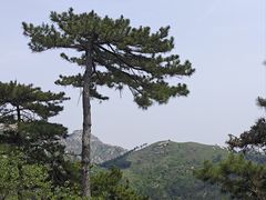 -医巫闾山