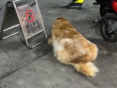-吴记鲜定味