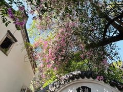 -深圳国际园林花卉博览园