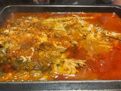 -炉鱼(亲橙里店)