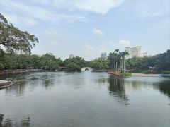 -荔湾湖公园
