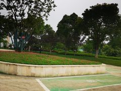 -羊山湖公园