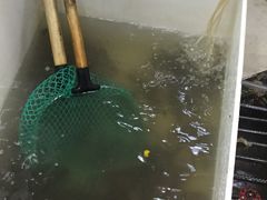 -龙虾奇迹(大华三路店)