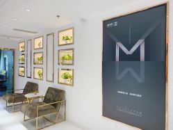 -MIVI野生眉纹绣纹眉