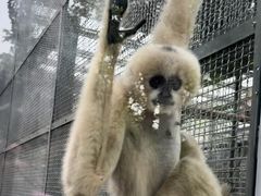 -石家庄市动物园