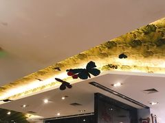 -彩蝶谷美食廊·粤式经典南番顺·铁板烧烤泰风味(广州长隆酒店)