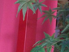 -好一朵茉莉花(老门东店)