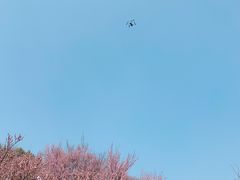 -南京古林公园