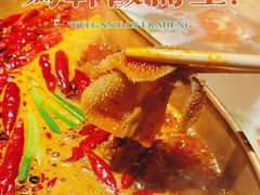 -小龙坎火锅(春熙太古里店)