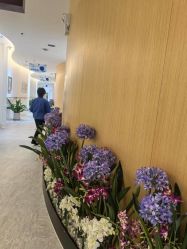 -天津伊美尔医疗整形美容专科医院