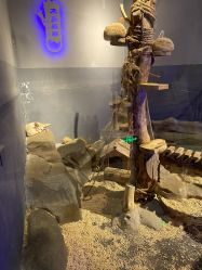 -未来动物城动物主题公园(大悦城店)