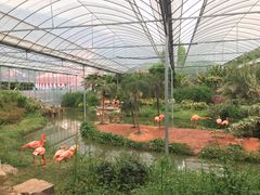 -无锡动物园·太湖欢乐园