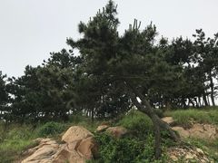 -阳光海岸露营公园