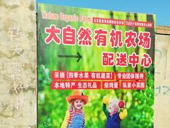 -大自然农场蔬菜草莓采摘园
