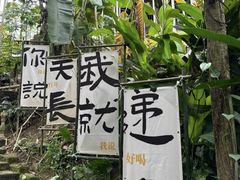 -七仙岭温泉国家森林公园